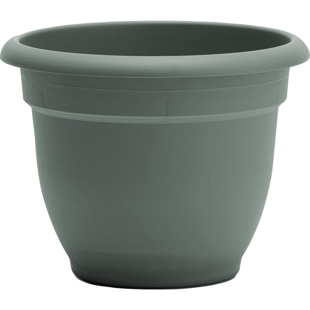 Bloem Ariana Planter (BASIL, 10 IN)