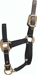 Hamilton Adjustable Halter W/Leather Headpole (BLACK, FOAL)
