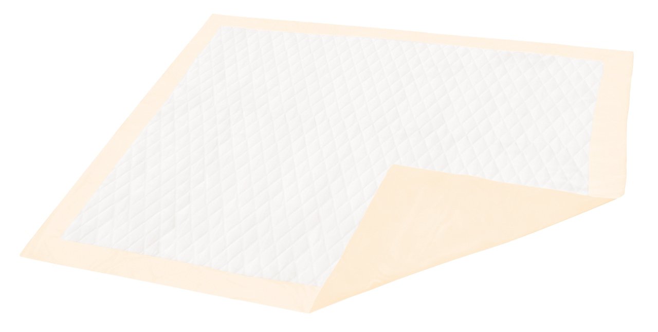 Hartmann - Disposable Underpad Dignity® Premium 30 X 36 Inch Fluff / Polymer Moderate Absorbency [100/CS]